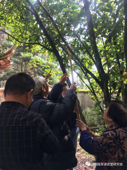 微信圖片_20200623204632 微信圖片_20200623204632