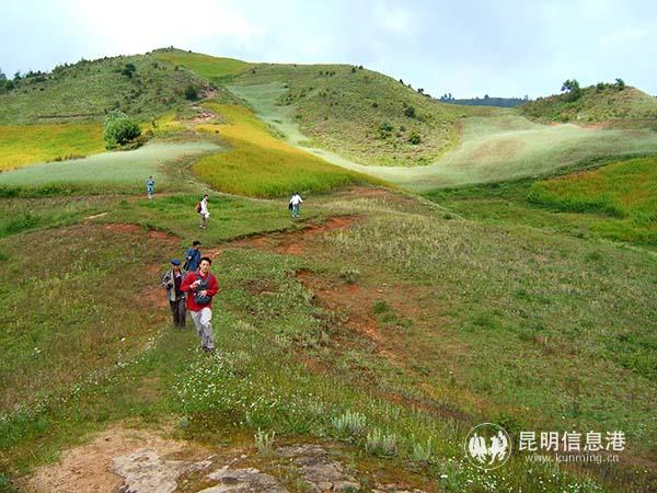 10 高山草甸 后藤先生 攝3