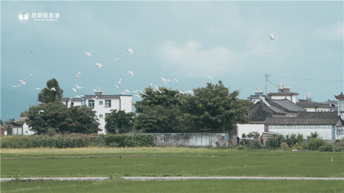 正片.00_02_12_05.Still003 正片.00_02_12_05.Still003