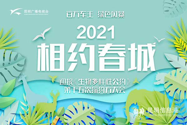 06 百萬車主綠色風(fēng)暴