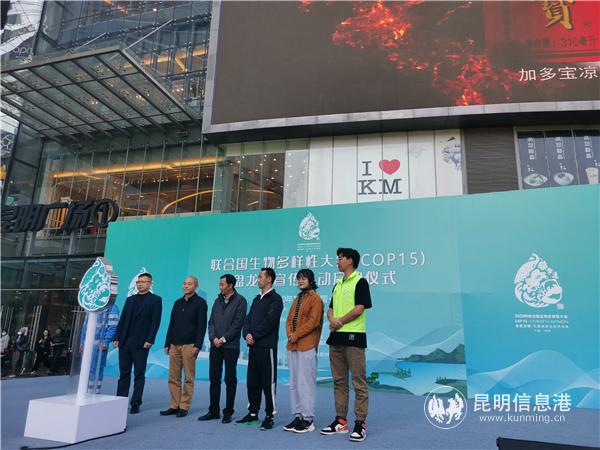 IMG_20201122_141439 IMG_20201122_141439