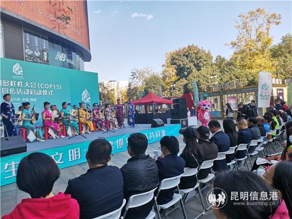 IMG_20201122_142421 IMG_20201122_142421