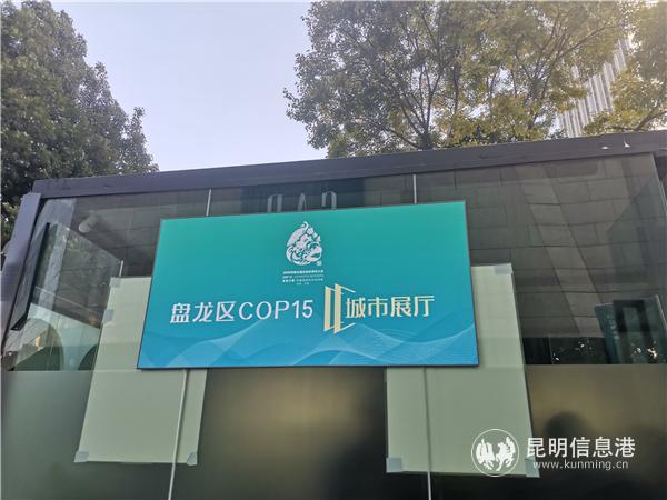 IMG_20201122_145555 IMG_20201122_145555