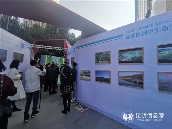 IMG_20201122_145836 IMG_20201122_145836