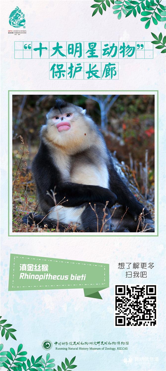 動(dòng)物展架02