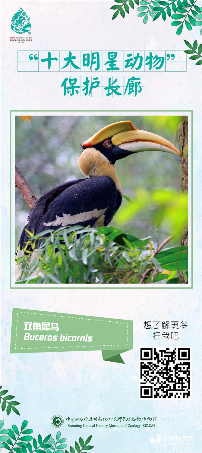 動(dòng)物展架04