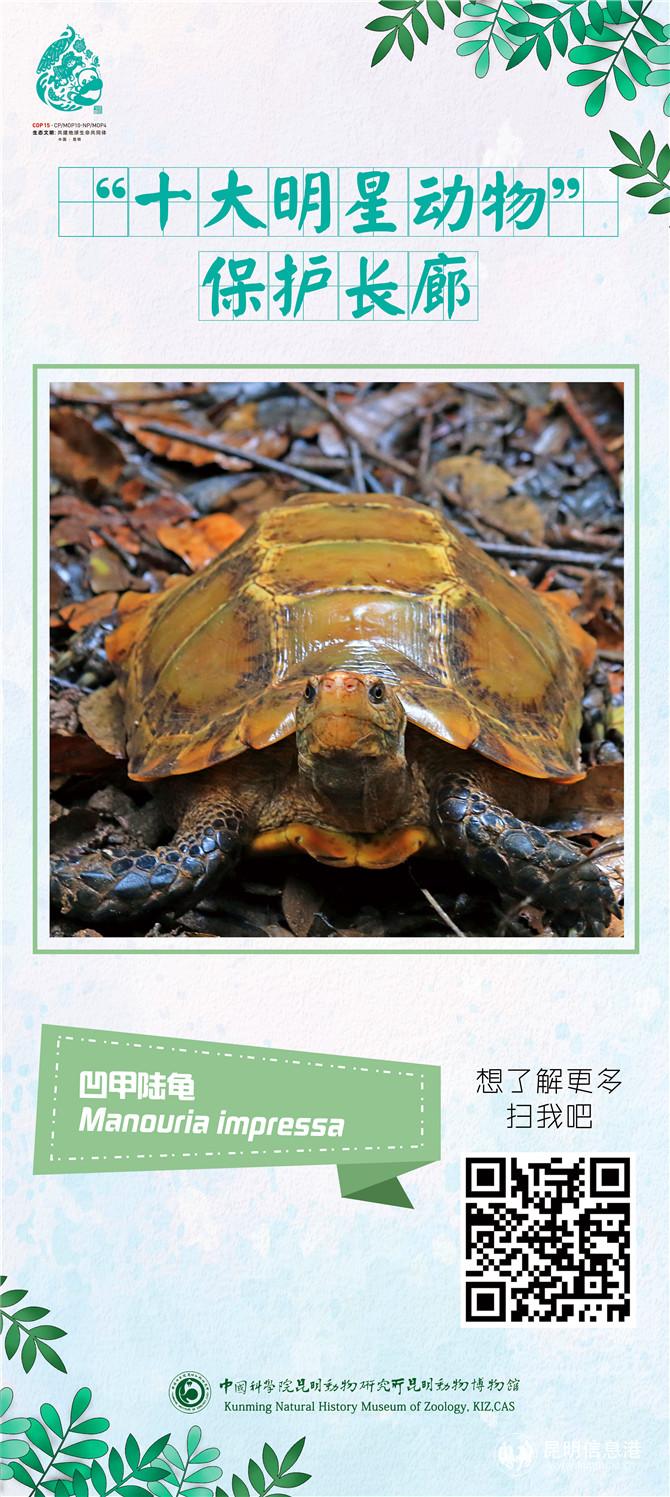 動(dòng)物展架07