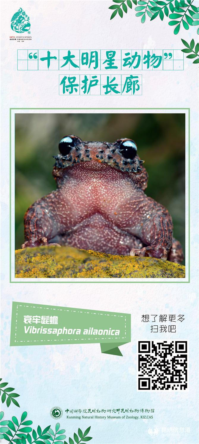 動(dòng)物展架08