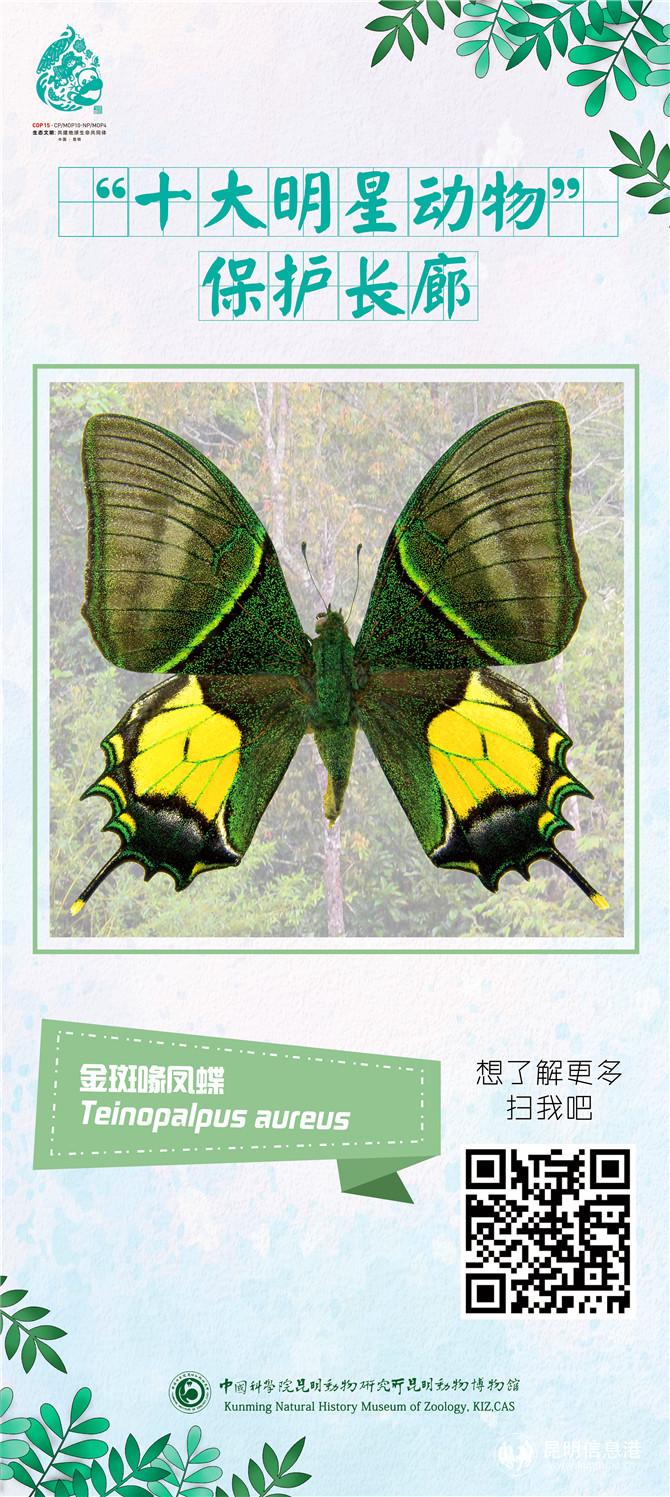 動(dòng)物展架11