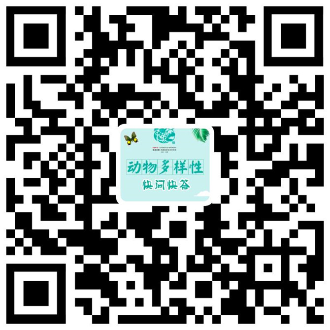 動(dòng)物多樣性快問快答