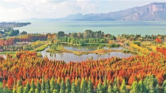 2020120803_res03_attpic_brief