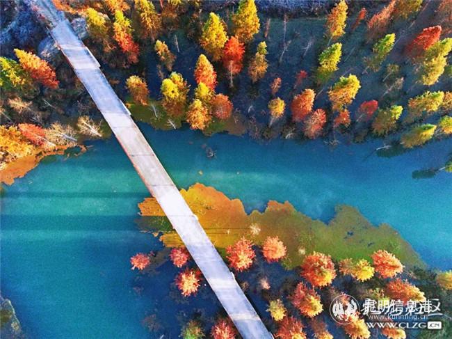 3.小竹炮 《盤龍江、北京路》