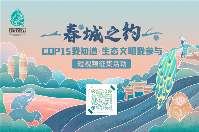 727426_670x670 727426_670x670