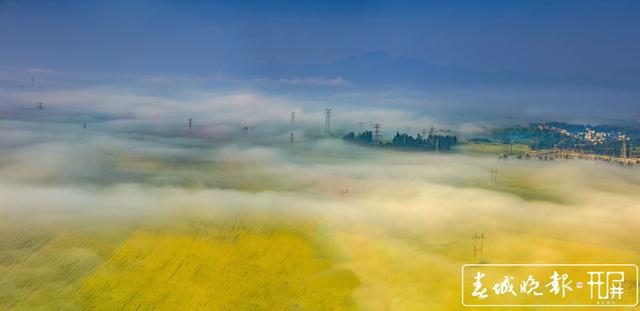 百萬畝油菜花開出千萬種姿態(tài)！此刻，最美的羅平等你來