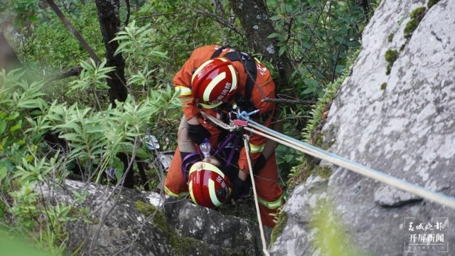 女子摔下懸崖命懸一線，大理消防急速救援（春城晚報(bào)-開屏新聞?dòng)浾?楊維琦 劉文波 通訊員 王廷棟 閆斌 李銀江 攝）