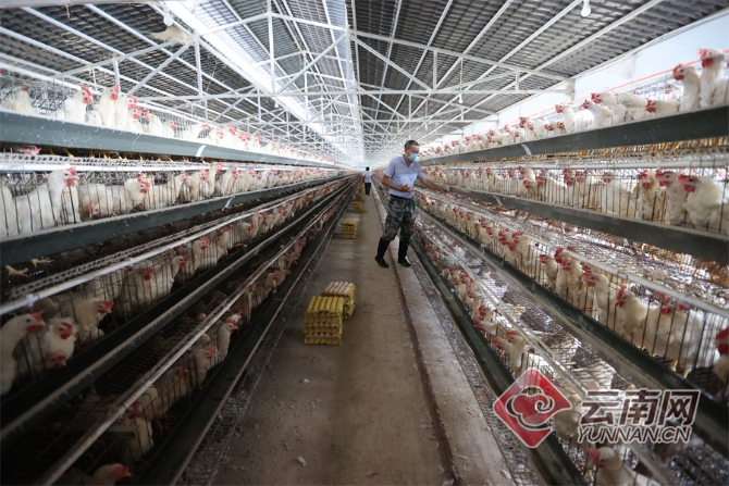 00304129658_e2b18363 00304129658_e2b18363