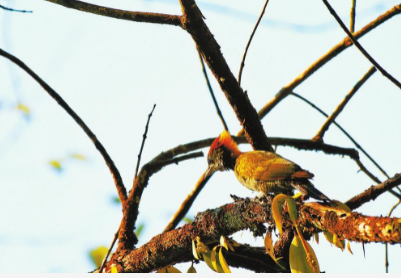 微信截圖_20210917091747 微信截圖_20210917091747