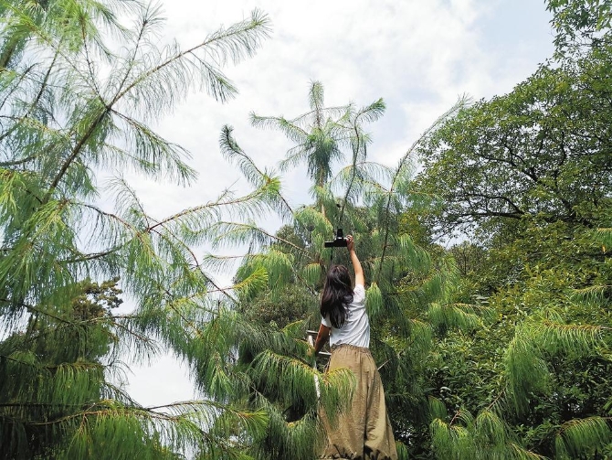 7993af58-f7eb-411a-a55e-b3a78f1102cf