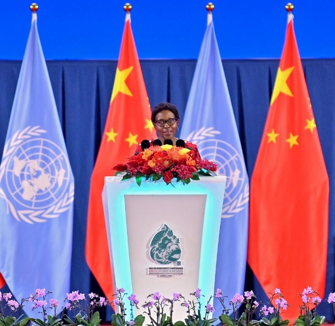 1127947068_16339843739311n 1127947068_16339843739311n