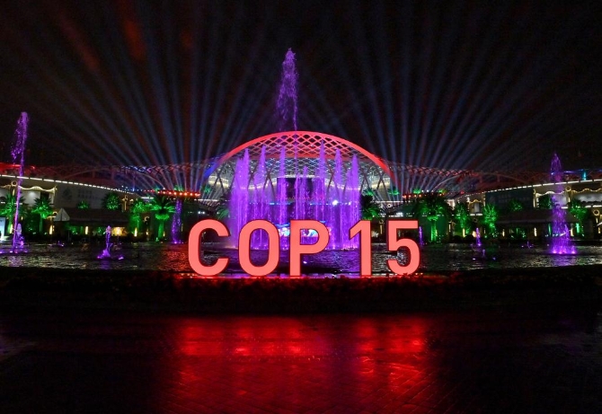 1127947068_16339844176171n 1127947068_16339844176171n