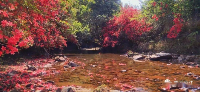 061d558eca1f4e8ab9293594d27437c9 061d558eca1f4e8ab9293594d27437c9