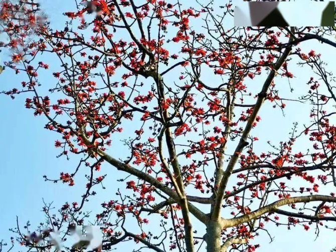 87b7fa5d1ff442e2886a2741e737e8b3 87b7fa5d1ff442e2886a2741e737e8b3