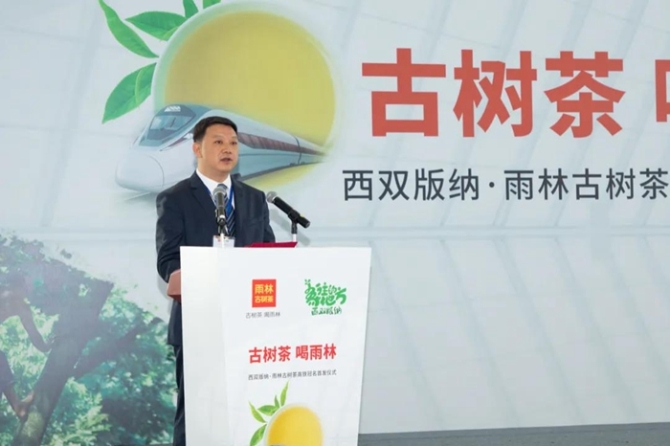 西雙版納傣族自治州州委常委、宣傳部部長 陳選良致辭