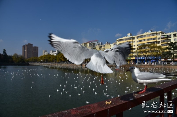 16372529285539032653934812390_181991 16372529285539032653934812390_181991