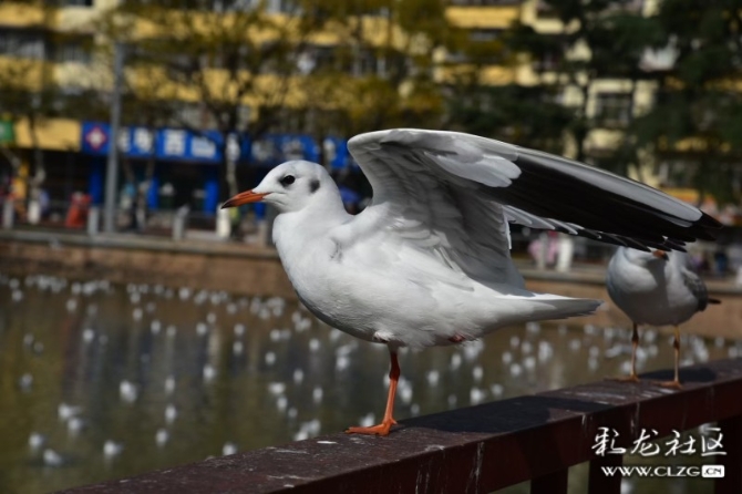 16372529284985905566361572635_181991 16372529284985905566361572635_181991