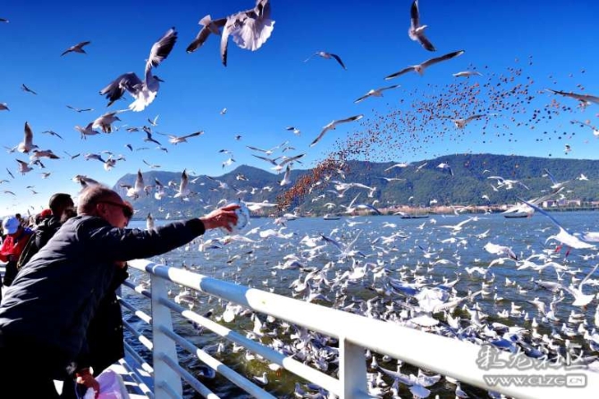 16382179266110163077664049192_5434 16382179266110163077664049192_5434