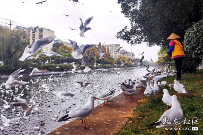 16382179267189827530937901372_5434 16382179267189827530937901372_5434