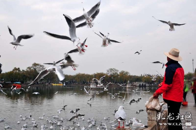 16382243307896285512763572886_5434 16382243307896285512763572886_5434