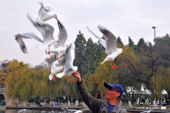 16382179268731382288009091109_5434 16382179268731382288009091109_5434