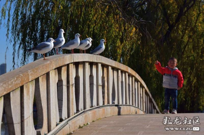 16382179267451652852768524517_5434 16382179267451652852768524517_5434