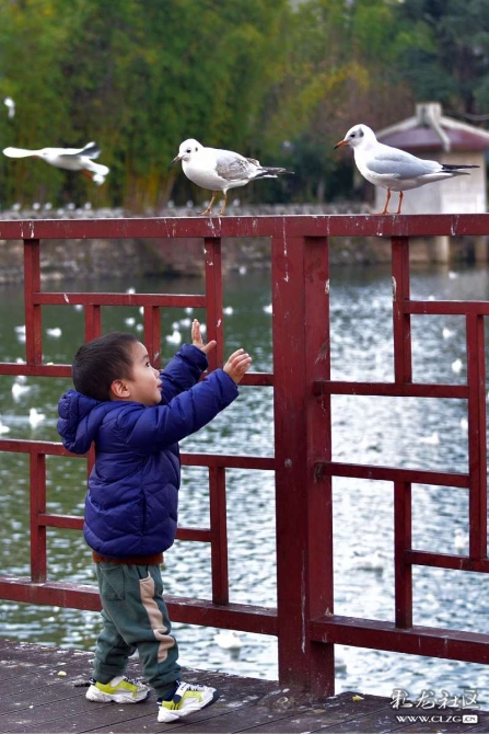 16382243306556473583098962900_5434 16382243306556473583098962900_5434