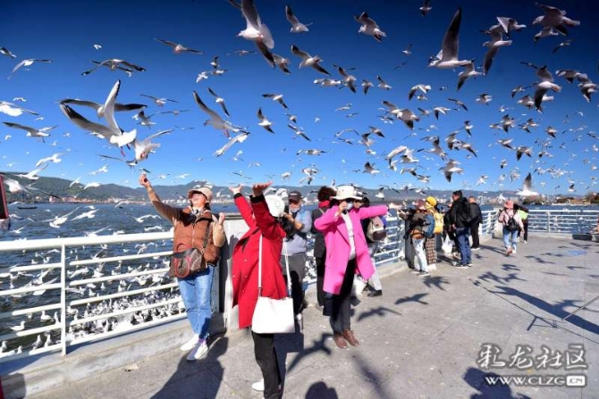 16382179265808275900737471539_5434 16382179265808275900737471539_5434