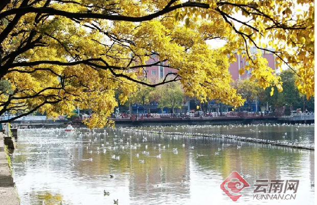 00304324191_dd9541af 00304324191_dd9541af