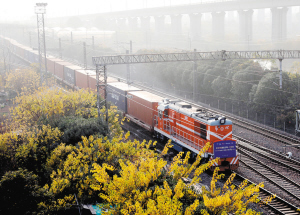 31671640023369326 31671640023369326