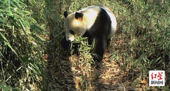 點(diǎn)擊查看高清原圖 點(diǎn)擊查看高清原圖