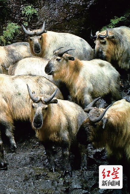 點(diǎn)擊查看高清原圖 點(diǎn)擊查看高清原圖