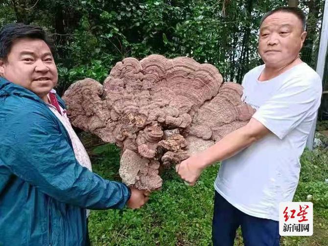 點(diǎn)擊查看高清原圖 點(diǎn)擊查看高清原圖