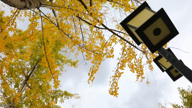 開屏策劃｜冬至云南—保山施甸（開屏新聞記者及通訊員 攝）