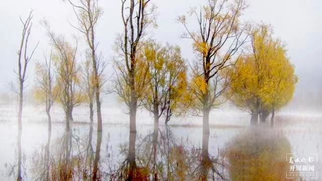 開屏策劃｜冬至云南—會澤念湖（開屏新聞記者及通訊員 攝）