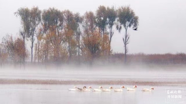 開屏策劃｜冬至云南—會澤念湖（開屏新聞記者及通訊員 攝）