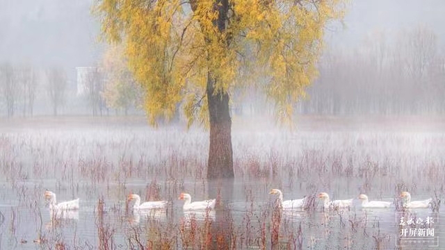 開屏策劃｜冬至云南—會澤念湖（開屏新聞記者及通訊員 攝）