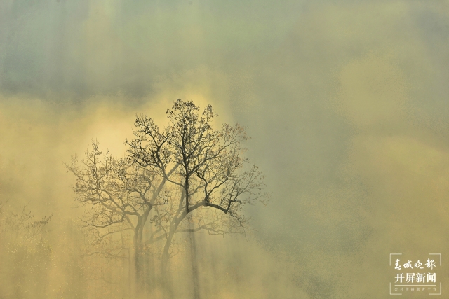 開屏策劃｜冬至云南—保山昌寧霧海（開屏新聞記者及通訊員 攝）