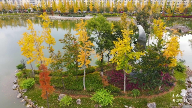 開屏策劃｜冬至云南—保山施甸（開屏新聞記者及通訊員 攝）