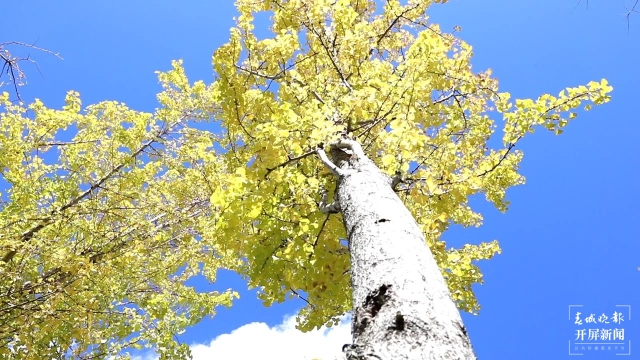 開屏策劃｜冬至云南—保山施甸（開屏新聞記者及通訊員 攝）