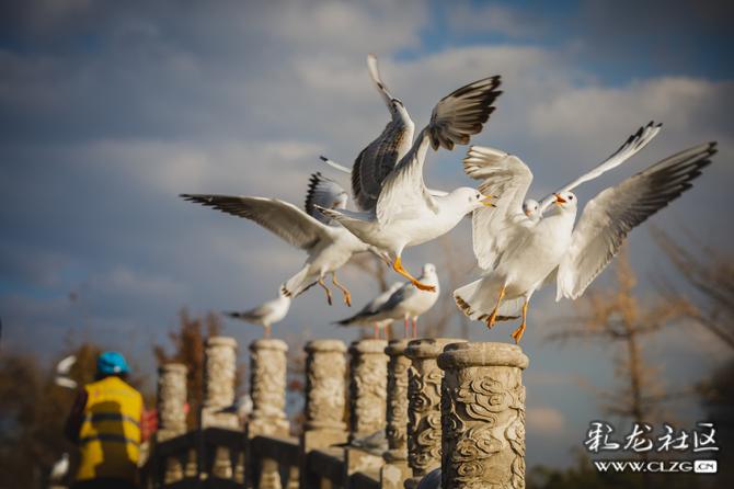 942ijud7gmc 942ijud7gmc