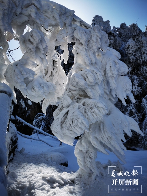 昭通雪景(開屏新聞記者 申時勛 通訊員 白鳥 戴虞夢 陳光惠 攝)